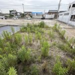 庭＿北名古屋市片場大石